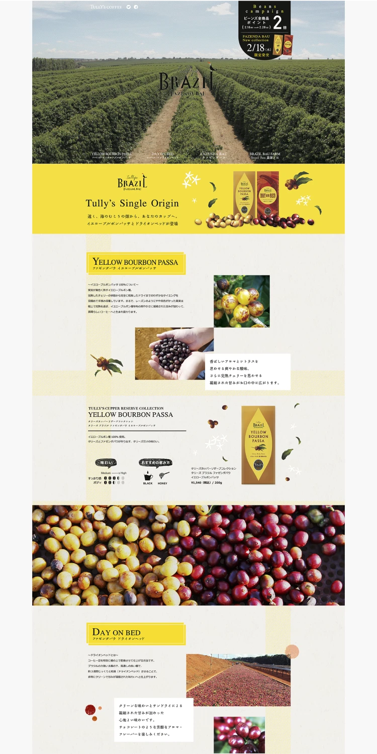 キャンペーンサイト