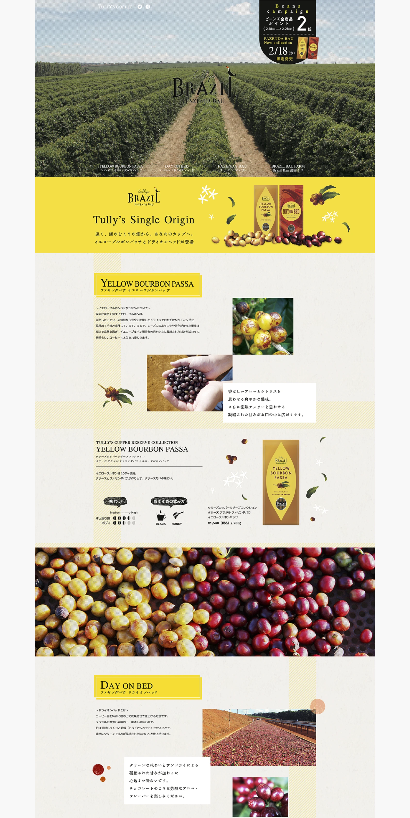 キャンペーンサイト