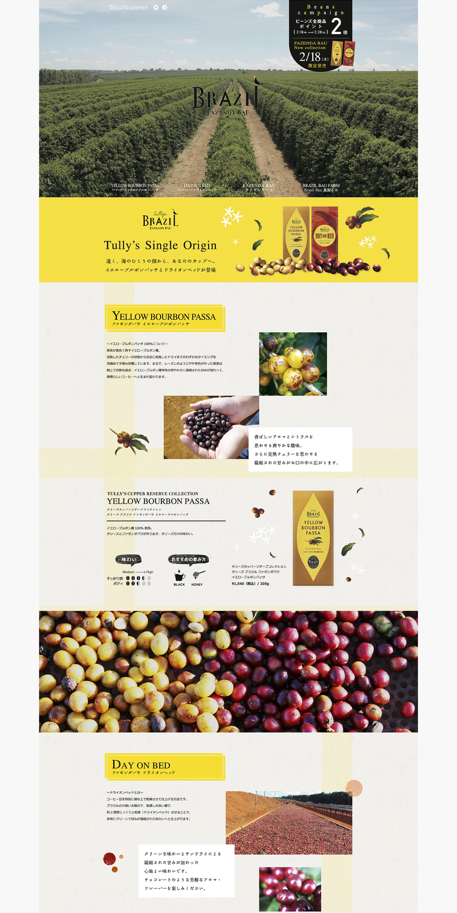 キャンペーンサイト